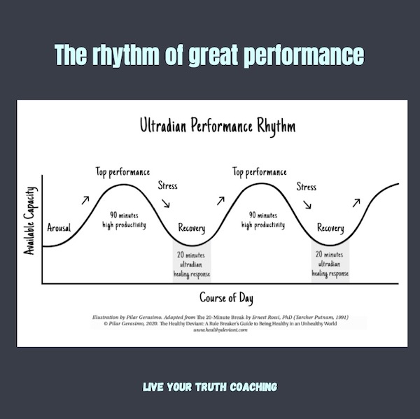 Ultradian Rhythm (2)